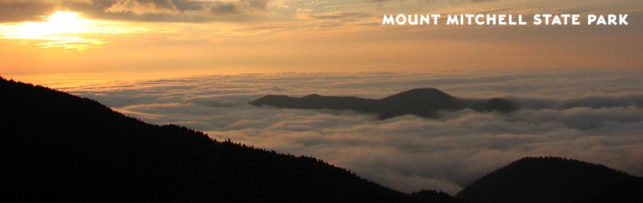 Treetops Cabin Easy To Asheville With Fast Wifi And Great View Swiss Bagian luar foto