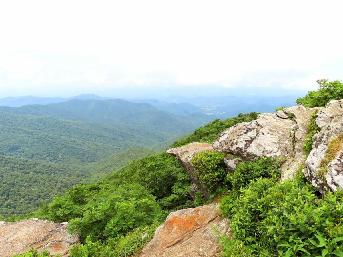 Treetops Cabin Easy To Asheville With Fast Wifi And Great View Swiss Bagian luar foto