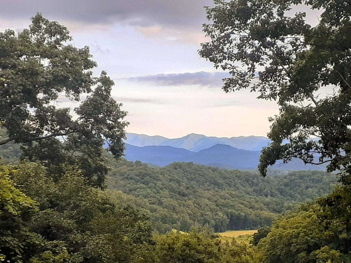 Treetops Cabin Easy To Asheville With Fast Wifi And Great View Swiss Bagian luar foto