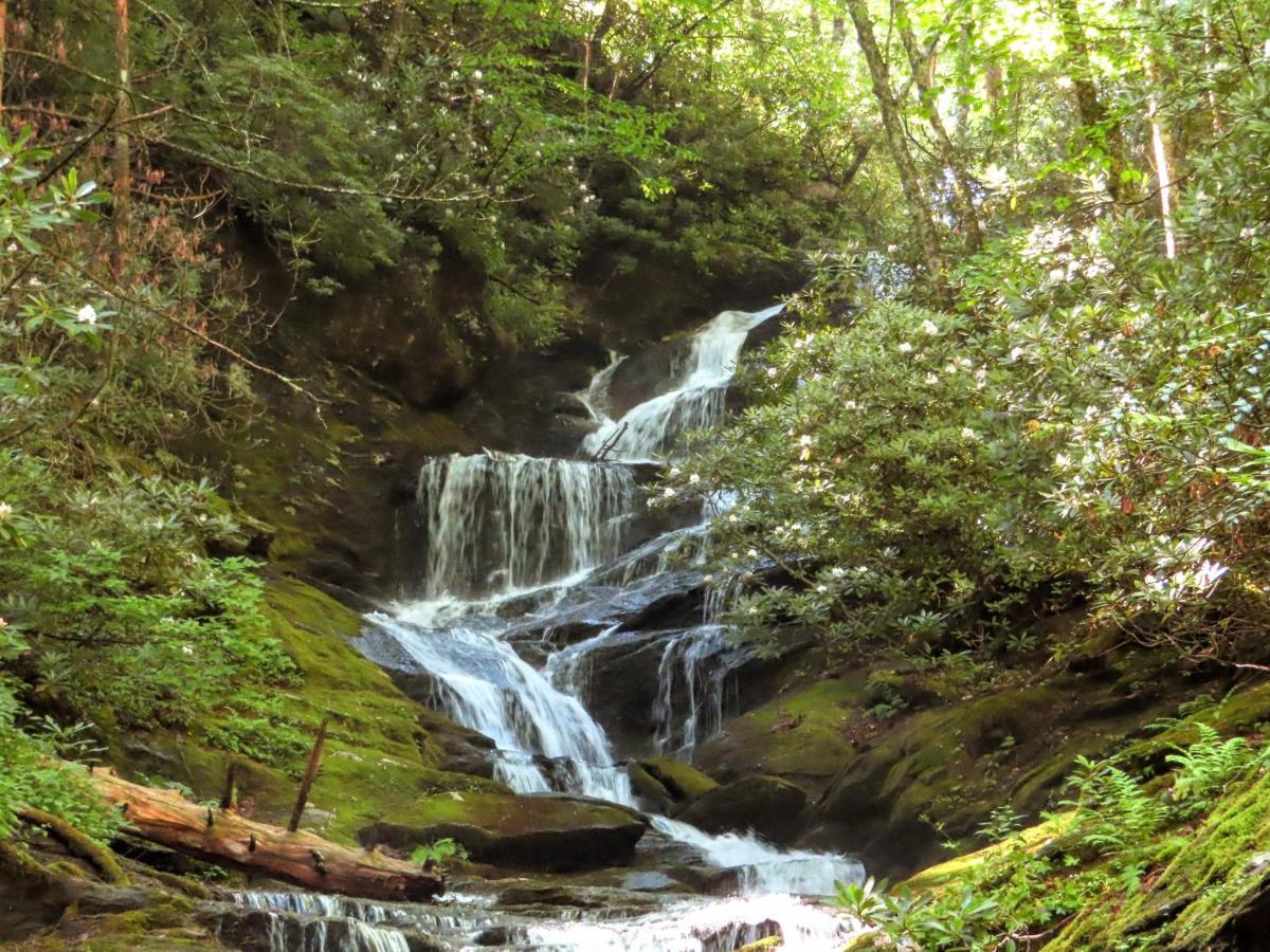 Treetops Cabin Easy To Asheville With Fast Wifi And Great View Swiss Bagian luar foto