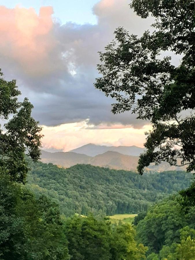 Treetops Cabin Easy To Asheville With Fast Wifi And Great View Swiss Bagian luar foto