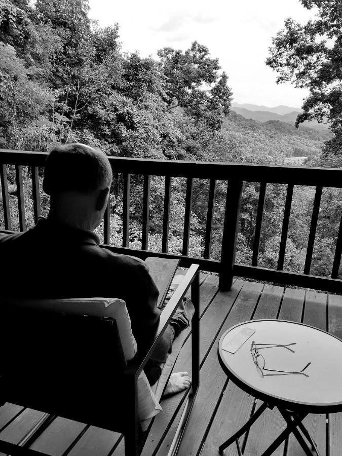 Treetops Cabin Easy To Asheville With Fast Wifi And Great View Swiss Bagian luar foto